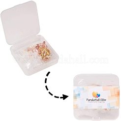 DIY серьги решений&nbsp;PH-DIY-G005-40