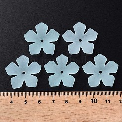 Прозрачные акриловые бусины&nbsp;MACR-S373-119-D07