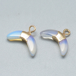 Opalite подвески&nbsp;G-Q494-40D