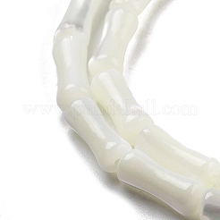 Нити бусин из натуральных трохоидных/трохус ракушек BSHE-G038-03