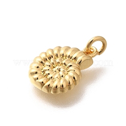 Стойки обшивки латунные подвески&nbsp;KK-M296-14G