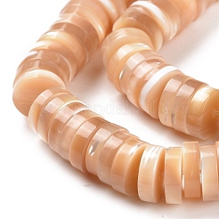 Нити бусин из натуральных трохоидных/трохус ракушек SSHEL-L016-13D