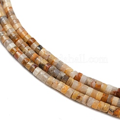 Природные сумасшедший агат бисер нитей G-H230-82