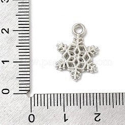 Пластмассовые подвески ccb CCB-I007-08P