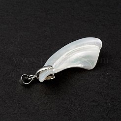 Натуральная ракушка трохида / подвески из ракушки трохуса SSHEL-M021-13