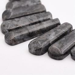 Натуральные нити бус из ларвикита G-P298-J01