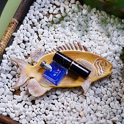 Пластины из рыбьей смолы PW-WG8244C-01