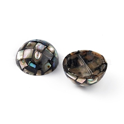 Бусины из синтетической раковины морского ушка / пауа SSHEL-K001-001A