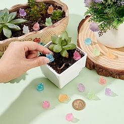 56шт 7 цвета светящаяся смола украшение дисплея&nbsp;DJEW-OC0001-40