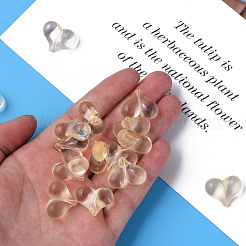 Прозрачные акриловые бусины&nbsp;MACR-S373-70-B13