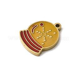 Подвески из нержавеющей стали 304 с эмалью&nbsp;STAS-I335-10G