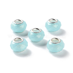 Европейские бусины из перламутровой смолы RESI-M001-01