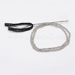 Натуральные нити бус из ларвикита G-E349-01