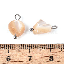 Натуральные трохус ракушки самородки амулеты STAS-D378-36P