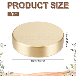 Латунное пресс-папье AJEW-WH0455-105B