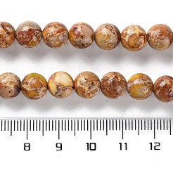 Нити бусин из окрашенного натурального регалита/императорской яшмы/морского осадка яшмы&nbsp;G-B124-C01-02