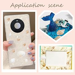 Натуральные раковины бисера SSHEL-FH0001-05