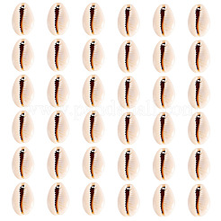 50 шт. подвески из натуральной ракушки каури BSHE-CW0001-02