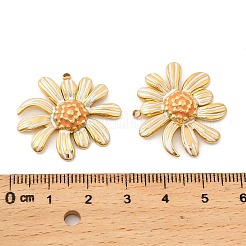 Подвески из нержавеющей стали 304 с эмалью&nbsp;STAS-G358-10G-02