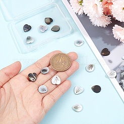 16 шт. 2 стиля натуральных черных подвесок-ракушек для губ&nbsp;SSHEL-GA0001-09