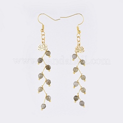 Натуральный лабрадорита болтающийся серьги&nbsp;EJEW-JE03634-01