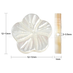 30 шт. натуральные пресноводные бусины из ракушек SHEL-CJ0001-30