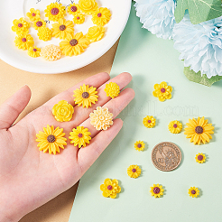 Кабошоны из смолы CRES-CJC0005-01B