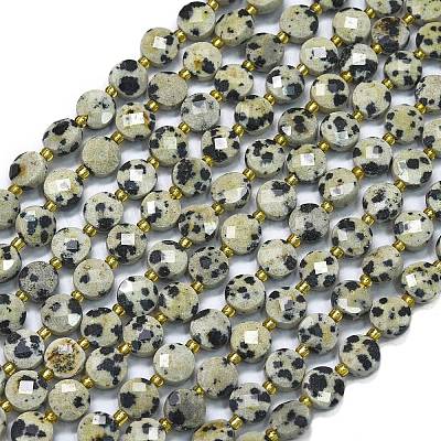 Природные яшмы далматин бисер нитей G-K389-B22-01-1