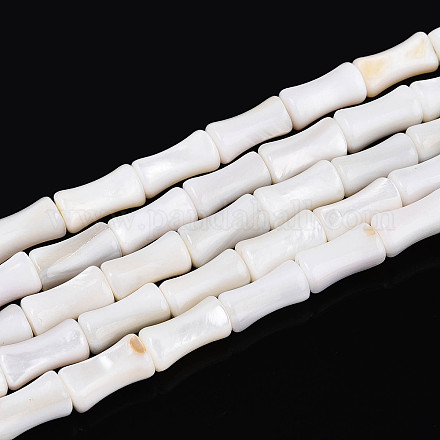 Нити бусин из натуральных пресноводных ракушек SHEL-N038-02-1