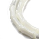 Нити бусин из натуральных трохоидных/трохус ракушек BSHE-G038-03-4