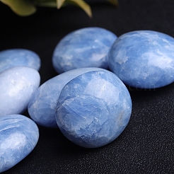 Натуральный целестит/целестиновые пальмовые камни PW-WG52452-01