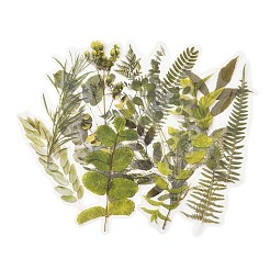 20 шт. самоклеящиеся наклейки в виде винтажных листьев для домашних животных&nbsp;DIY-M077-01C