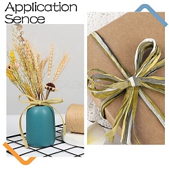 Лента из натуральной рафии&nbsp;OCOR-CJ0004-02A