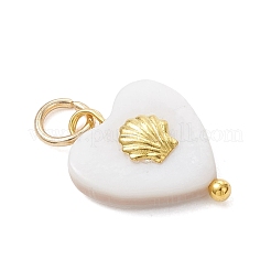 Подвески из натуральных пресноводных ракушек&nbsp;PALLOY-JF05016