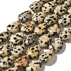 Природные яшмы далматин бисер нитей G-I377-A15