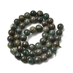 Естественный зеленый апатит бисер пряди G-K350-C04-8mm