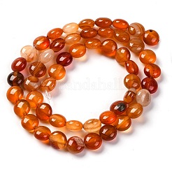 Натуральный красный агат бисер нитей G-T047-A02-01