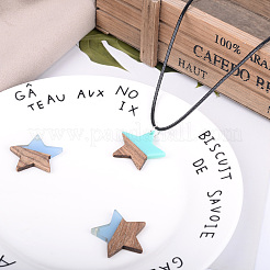 18шт 9 цвета подвески из смолы и ореха&nbsp;RESI-BT0001-08