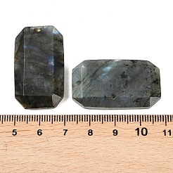 Природные подвески лабрадорита&nbsp;G-H325-03I