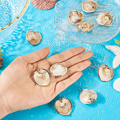 10 шт. Подвески из натуральных ракушек&nbsp;PALLOY-TAC0204