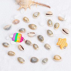 Соединения оболочки каури SSHEL-PH0002-45