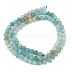 Натуральный цветок амазонитовые бусины пряди G-L587-A01-02
