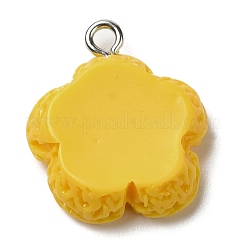 Подвески из непрозрачной смолы&nbsp;RESI-L038-01P-05