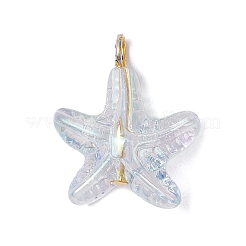 Прозрачные акриловые подвески PALLOY-JF03994-02