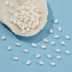 2 нить бусин из натуральных пресноводных ракушек&nbsp;SSHEL-NB0001-38