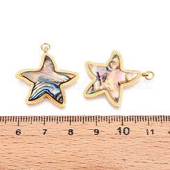 Подвески из натуральной ракушки пауа из нержавеющей стали 304&nbsp;STAS-N115-22B-G