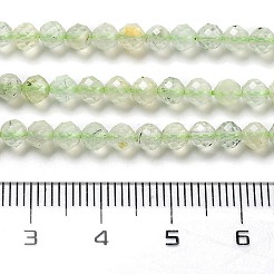 Природные пренит нитей бисера G-G161-A13-03