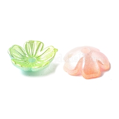 Акриловые колпачки для бусин градиентного цвета&nbsp;X-OACR-Z028-01