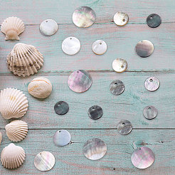 40 шт. 4 стильных черных подвески-ракушки для губ&nbsp;SSHEL-SC0001-15