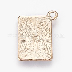 Подвески из эмали и сплава&nbsp;X-ENAM-O035-19G-B